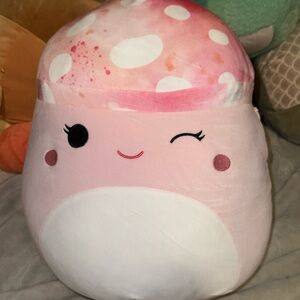 Molly the mushroom squishmallow brand new